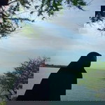 Infa Rifah profile icon