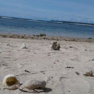 Rahmi Anisa profile icon