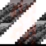 วัฒนา พลเพชร profile icon