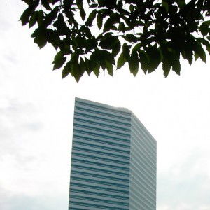 Aditi Sharma profile icon