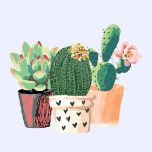 Meilan Hajura profile icon