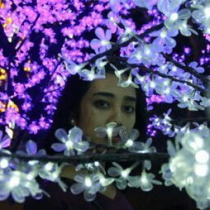 A. A. Ratu Hendri Trijaya Wirotami Ratu profile icon