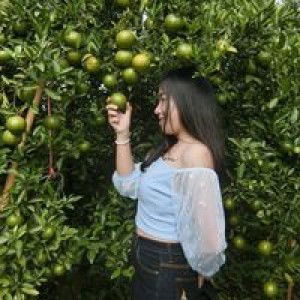 ผกามาศ กันตีมูล profile icon