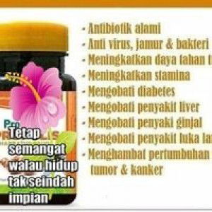 Hani Aisyah profile icon