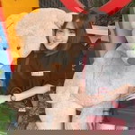 Averlynn Ang profile icon