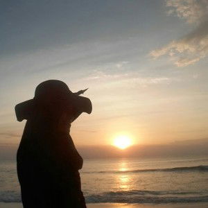 Byby Feby profile icon