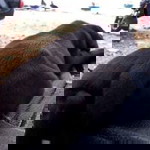 สมฤดี จันทะเนตร profile icon