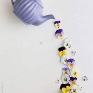 Eni Erlina profile icon