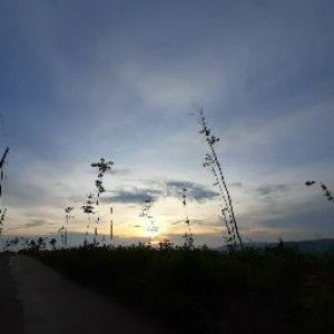 Titin Fatanah profile icon