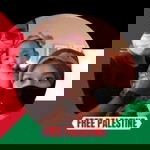 Tawfiq Helmi profile icon