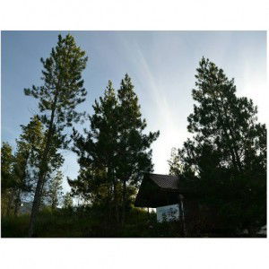 yuyun angraeni profile icon