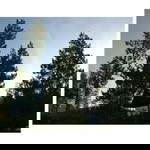 yuyun angraeni profile icon