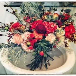 Thao Nguyen profile icon