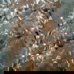 จุฑาทิพ เลี้ยงถนอม profile icon