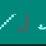 Jannavarapu Chiini profile icon