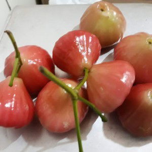 Heryanto heryanto profile icon