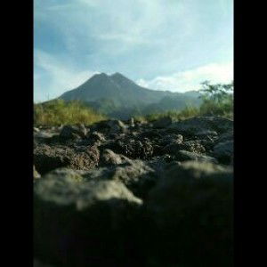 mery Amiatul profile icon