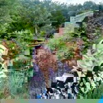 Amirah Mieyra profile icon