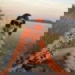 Poolom Ninlaya profile icon