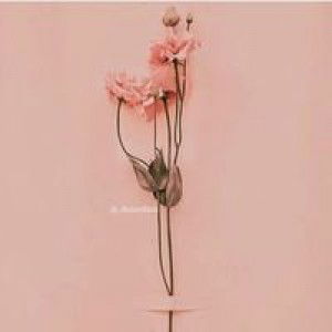 Tia Andriani profile icon