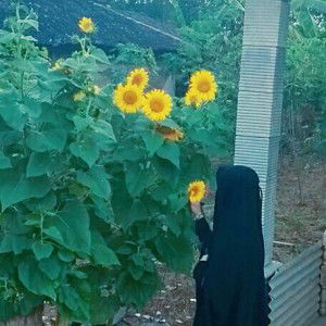 حور عين profile icon