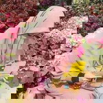 Fitri Nurrohmah Pratiwi profile icon