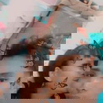 Sri Laksana Muda profile icon