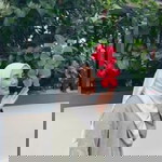 Syarain Samsudin profile icon