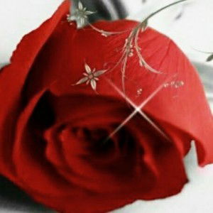 nurainiannie92 profile icon