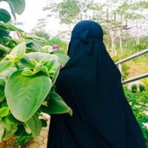 norjanah Adapun profile icon