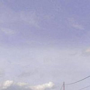 Sri Whyn profile icon