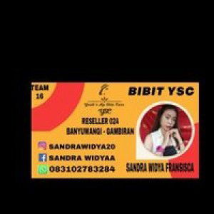 Sandra Widyaa profile icon