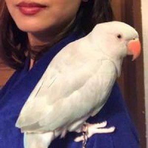 Adila Fitri profile icon