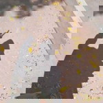 Zainus Isyaroh profile icon