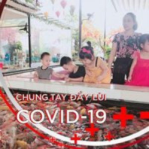 Hải Băng profile icon