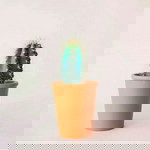 Puput Paoziah91 profile icon