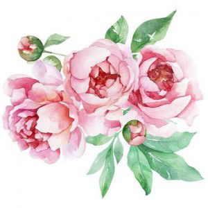 listi smabox profile icon