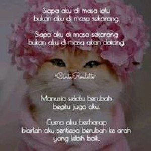 Al Nanda profile icon