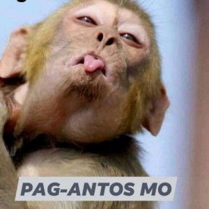 Josephine Abella profile icon