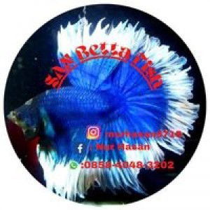 Nur Hasan profile icon