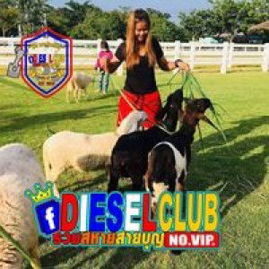 Suphatcharee Kesee profile icon