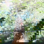 Rathila profile icon