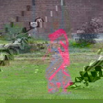 Farah Naeem profile icon