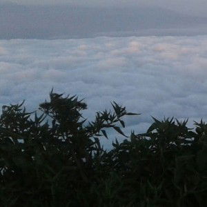 Fatma Puji profile icon