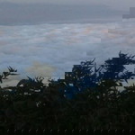 Fatma Puji profile icon