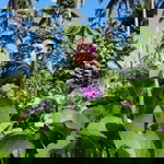 Ricamille Prudente profile icon