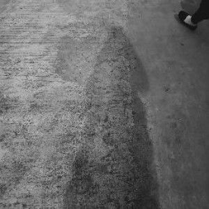 Hesty Nillasari profile icon