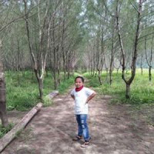 Nilla Listyowati profile icon