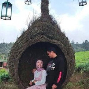 Tia Amelia profile icon