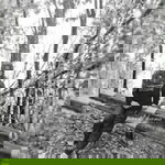 Nurul Hana profile icon